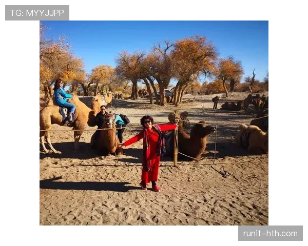 哈里·凯恩状态回暖，转向NFL职业生涯梦想的追逐